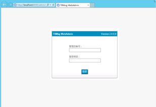 及時雨TRMSG通訊系統界面預覽與信息系統集成服務